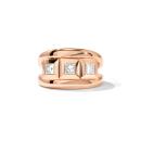 Tamara Comolli CURRICULUM VITAE Ring 3 small (Ref: R-CV3-s-Pr-rg) - Bild 0