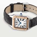 Cartier Santos-Dumont (Ref: W2SA0012) - Bild 5