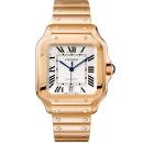 Cartier Santos de Cartier (Ref: WGSA0018) - Bild 0