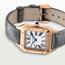 Cartier Santos-Dumont (Ref: WGSA0021) - Bild 6