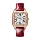 Cartier Santos-Dumont (Ref: WJSA0016) - Bild 0