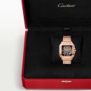 Cartier Santos de Cartier (Ref: WHSA0016) - Bild 8