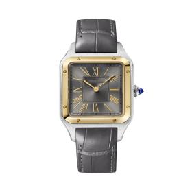 Cartier Santos-Dumont W2SA0028