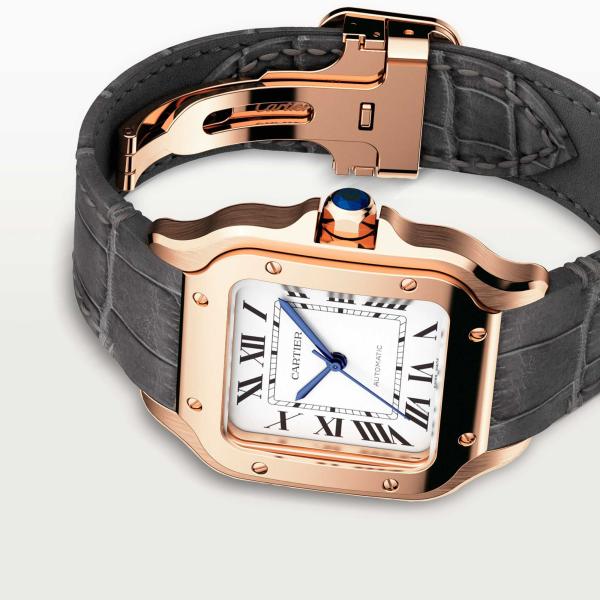 Cartier Santos de Cartier (Ref: WGSA0028)