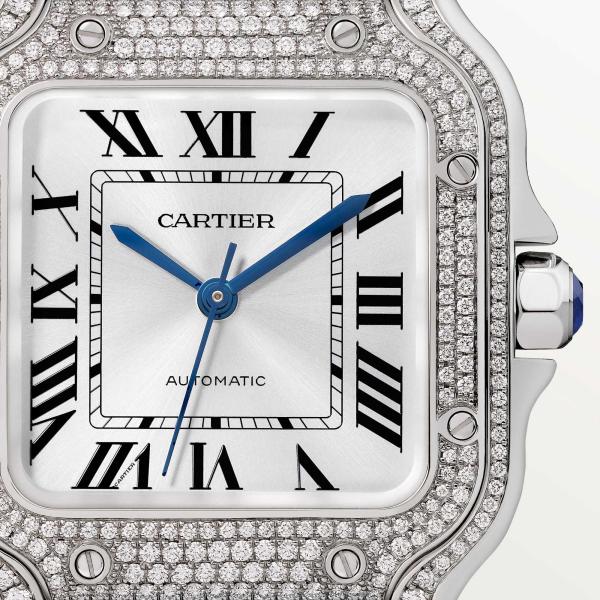 Cartier Santos de Cartier (Ref: WJSA0014)