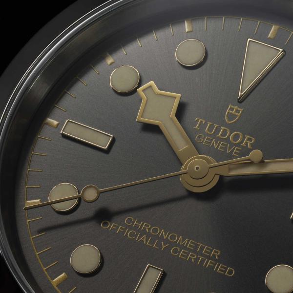 TUDOR Black Bay 31 (Ref: M79600-0001)