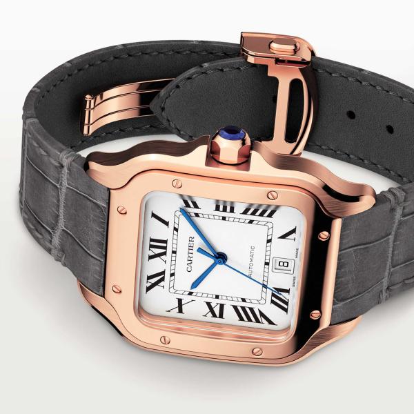 Cartier Santos de Cartier (Ref: WGSA0019)