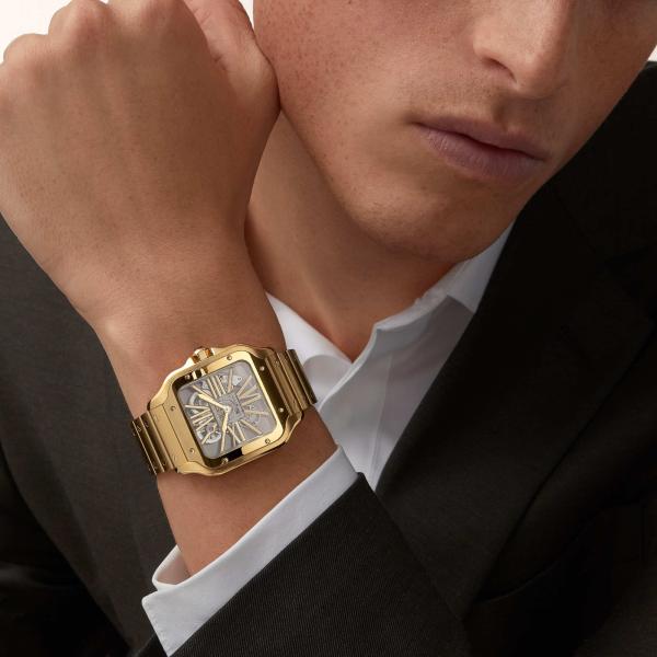 Cartier Santos de Cartier (Ref: WHSA0042)