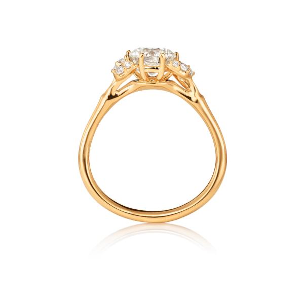 Ole Lynggaard Copenhagen Winter Frost Solitaire Ring (Ref: A2781-419)