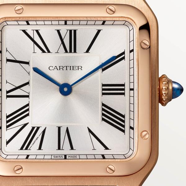 Cartier Santos-Dumont (Ref: WGSA0021)