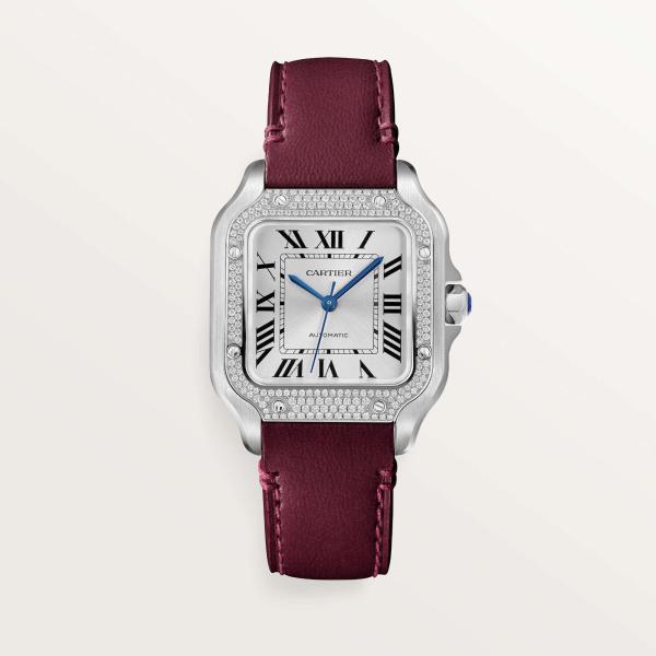 Cartier Santos de Cartier (Ref: W4SA0005)