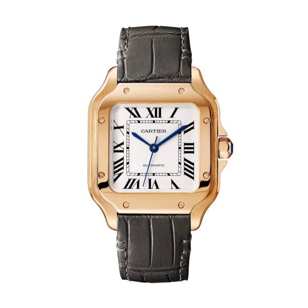 Cartier Santos de Cartier (Ref: WGSA0031)