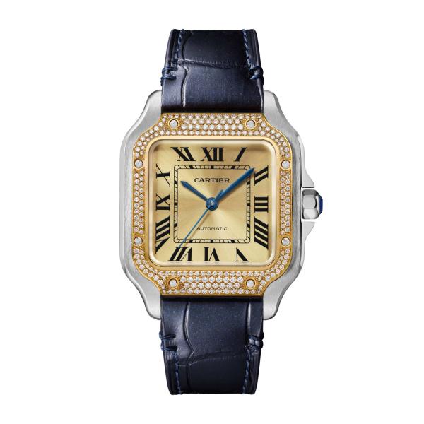 Cartier Santos de Cartier (Ref: W3SA0007)