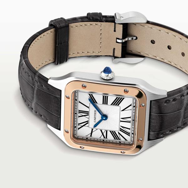 Cartier Santos-Dumont (Ref: W2SA0012)