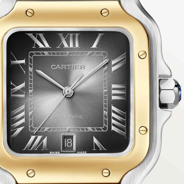 Cartier Santos de Cartier (Ref: W2SA0030)