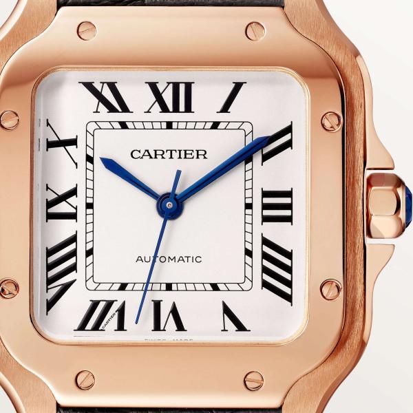 Cartier Santos de Cartier (Ref: WGSA0028)