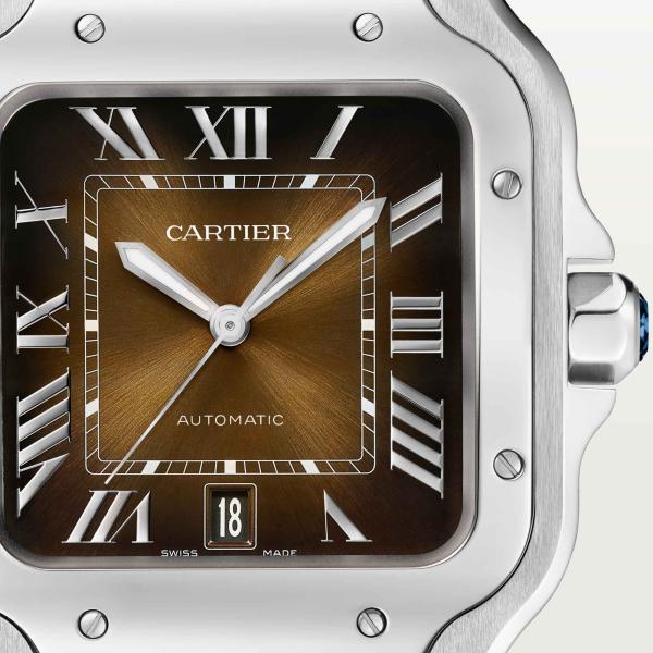 Cartier Santos de Cartier (Ref: WSSA0064)