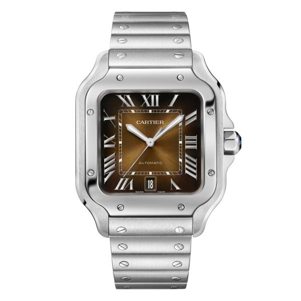 Cartier Santos de Cartier (Ref: WSSA0064)