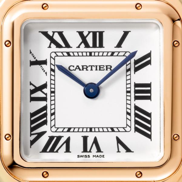 Cartier Panthère de Cartier (Ref: WGPN0007)