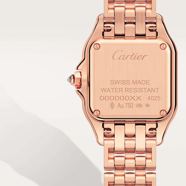 Cartier Panthère de Cartier (Ref: WJPN0049)