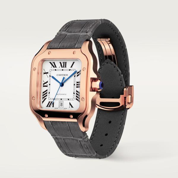 Cartier Santos de Cartier (Ref: WGSA0019)