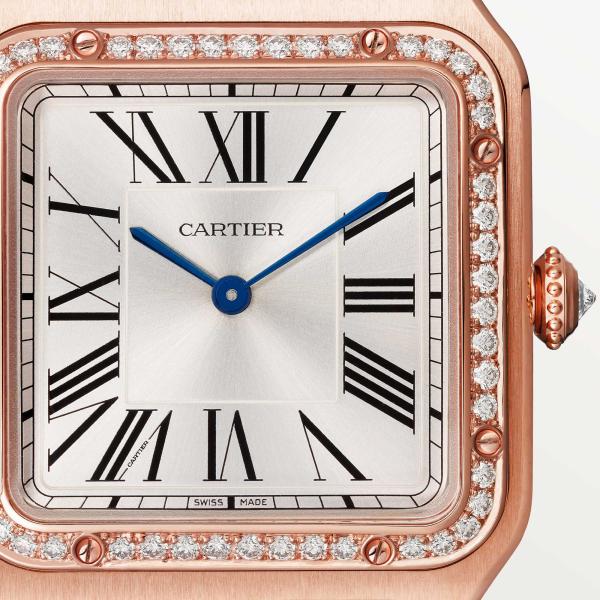 Cartier Santos-Dumont (Ref: WJSA0016)