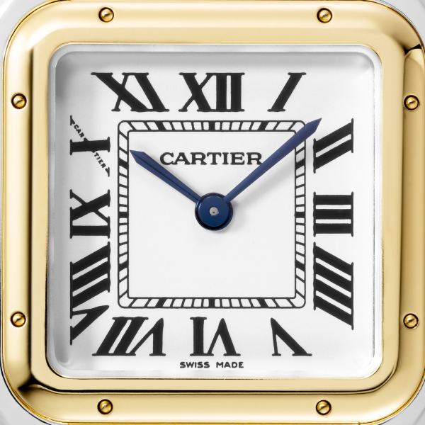 Cartier Panthère de Cartier (Ref: W2PN0007)