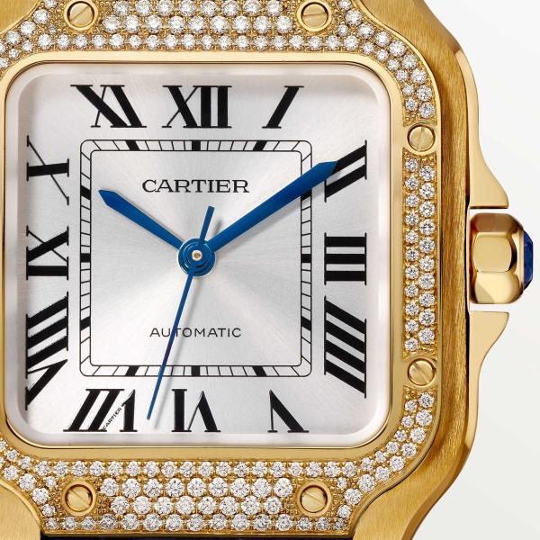 Cartier Santos de Cartier (Ref: WJSA0013)